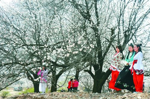 jrs直播无插件NBA直播高清